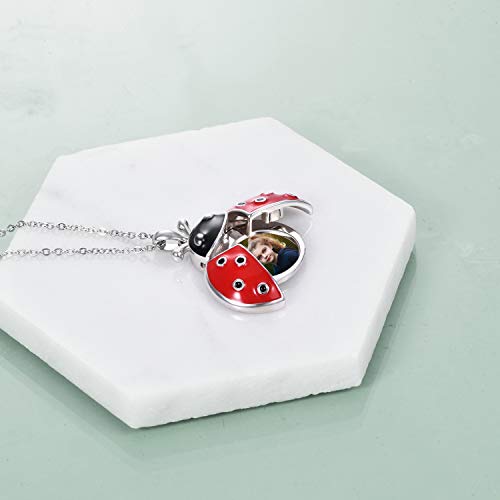 POPLYKE Ladybug Locket Necklace Sterling Silver Cute Ladybug Jewelry that Holds Pictures for Women Girls Gifts4