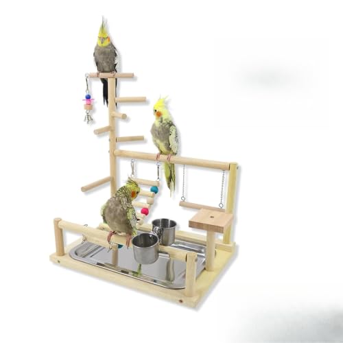 鳥 アスレチック」の人気商品一覧・価格比較 - 価格.com