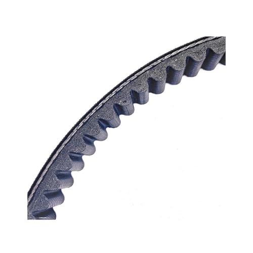 Correa de transmisión 814x22,5 841213 para modelos 125cc 4t 4