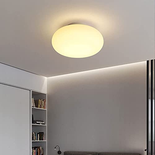 Luces de techo led dimables WQHPLMD de estilo nórdico y cúpula redonda 3