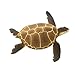 Safari Ltd. Green Sea Turtle Figurine - Detailed 4