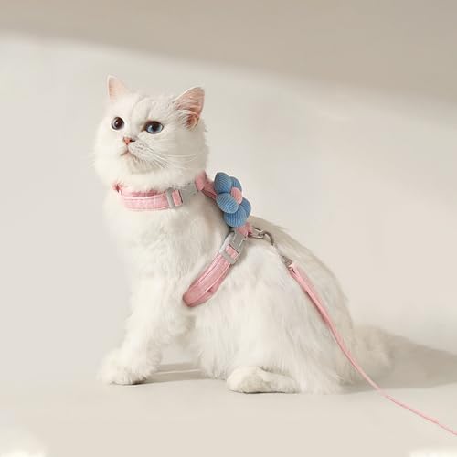 CiuGear Lpn[lXA[VtAEh~A߉\ȔLpxXgA^LɍœK