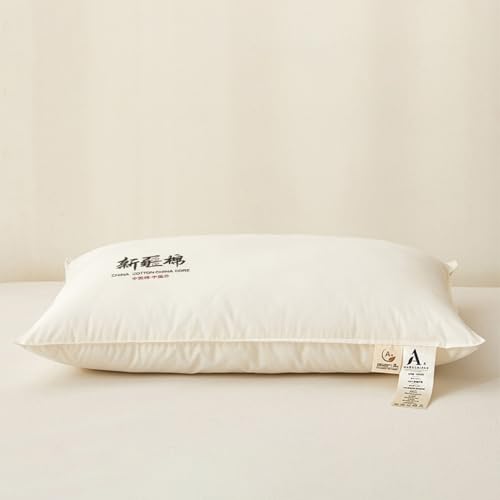 [BKVB]  ɗD lԍHw ᔽ Ή J[1   ̈U Q 񉡌 Q 48*74A ʋC悢 Gǂ R hL lԍHw݌v ʋC CeA h_j QSnǂ ې􂢉\ ze  