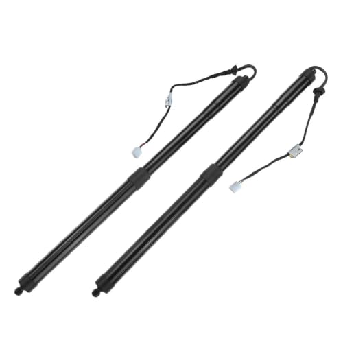 Support levage électrique pour hayon arrière Lexus RX450H voyages en famille