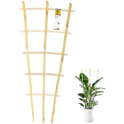 Jollybower 3PCS Fan-Shaped Bamboo Trellis, 2Ft Plant Trellis Indoor, Small Trellis for Potted Plants Indoor, Climbing Plants, Vegetables Cover