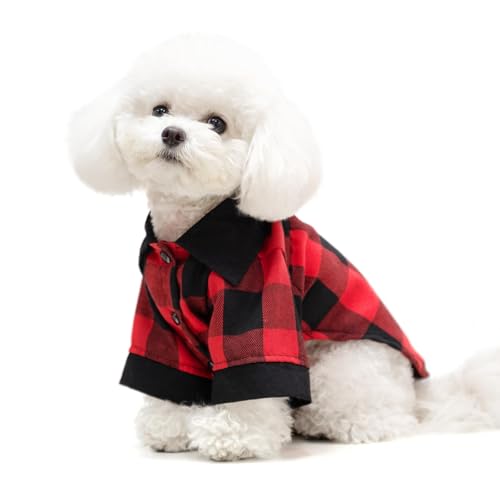 KOOLTAIL hbOVcAbhobt@[iqybgVcAubNJ[NbVL[ghbOApAI[V[YΉAKȌpTVcA^A^^LAybgߑRX`[AM