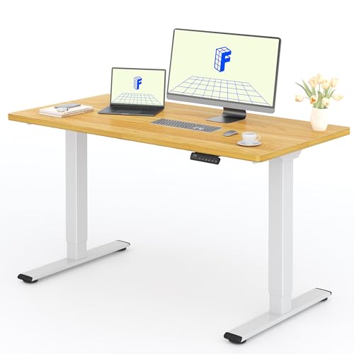 FLEXISPOT Scrivania Elettrica Regolabile in Altezza a 2 Motori 120x80 cm con Piano Unico, Pannello con Memoria, Portata 100 kg