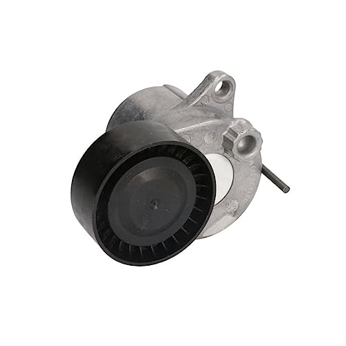 Galet tendeur INA 534 0611 10 pour stopper les bruits de courroie d'accessoire