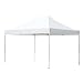 Abba Patio 10 x 15 ft Outdoor Heavy Duty Pop Up Portable Instant Canopy Event Commercial Folding Canopy, White