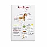 Dog Heat Stroke Infographics Poster Pet Hospital Wall Decor (10) Canvas for Bedroom Living Room Decor 08x12inch(20x30cm) Unframe-style