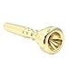 Piutouyar 7C Trumpet Mouthpiece, Brass Trumpet Mouthpiece Replacement Gold Plated Trumpet Instrument Accessories for Beginners, Professionals Players