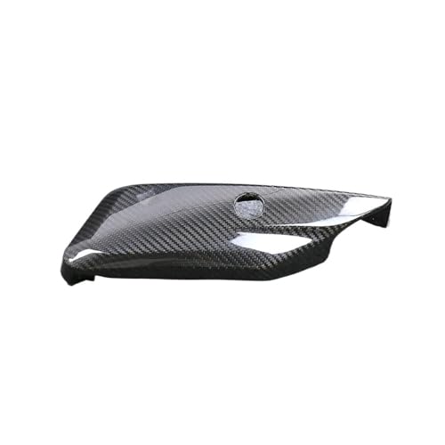 Petits panneaux latéraux carbone Sportster S pour réduire les débris