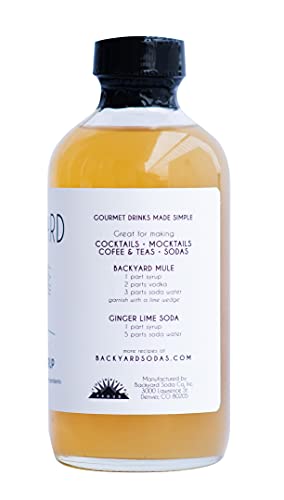 Backyard Soda Co Ginger Lime Simple Syrup, 8 Fz #TOP5