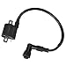 Bobine d'allumage, bobine d'allumage CC de boîte bobine d'allumage de voiture Durable 12V adaptée pour Scooter CG125 125cc 150cc