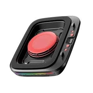 Ruiogoe FL08 Laptop Kühlpad