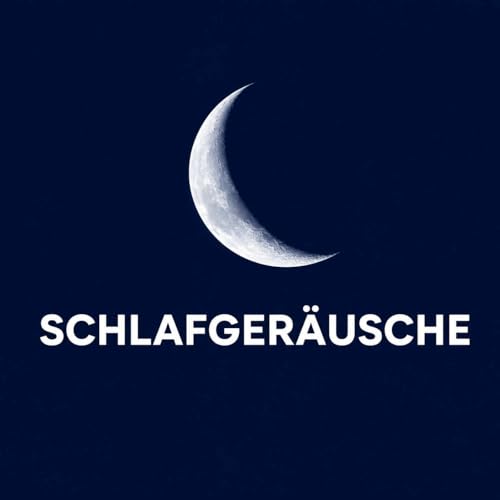 『Schlafger&auml;usche』のカバーアート