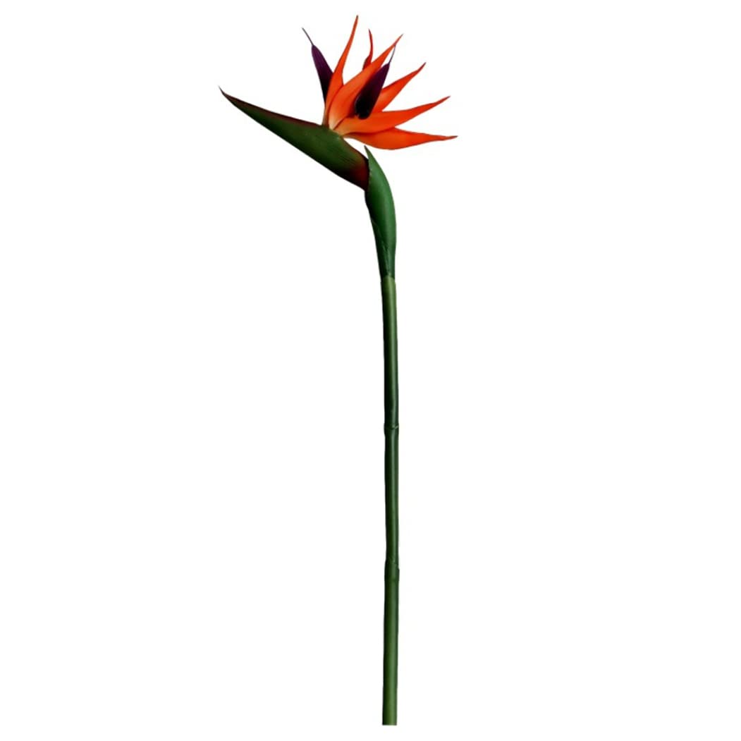 Bemonew Strelitzia Flower Artificial Flower Bird of Paradise Plastic Strelitzia with Long Stem for Home Decoration