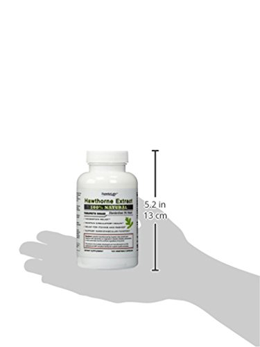 Superior Labs — Best Hawthorn Vitamin Supplement Nongmo, Non Synthetic — 300 Mg Dosage, 120 Vegetable Capsules — Powerful Antioxidant — Healthy Digestion — Circulatory & Cardiovascular Health #TOP6