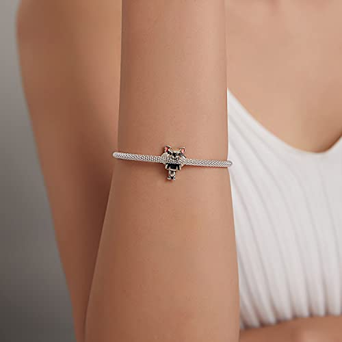 Charm de plata de ley 925 de Mr. Wolf para renovar pulseras aburridas sin gastar de más 3