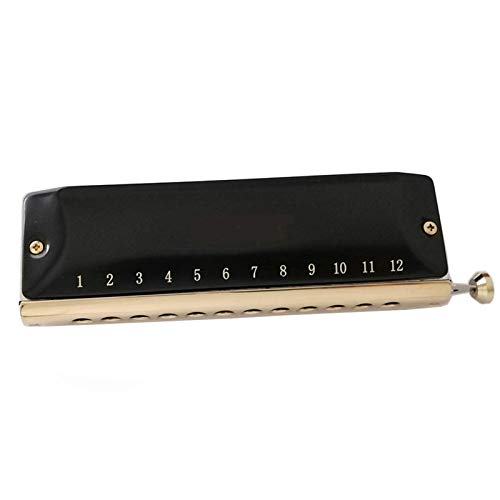 KIRANDIE Chromatic Harmonica 12 16 Trous Bouche d’organes Instrumentos clé C Phosphore Roseaux Bronze Professional… - Les Beatles, Paul McCartney, John Lennon, RIngo Starr, George Harrison KIRANDIE Chromatic Harmonica 12 16 Trous Bouche d'organes Instrumentos clé C Phosphore Roseaux Bronze Professional…