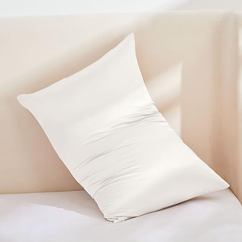 Image of THXSILK 100% Silk Pillowcase for Hair and Skin, 30 Momme Both Sides Grade 6A+ Mulberry Silk Pillow Case with Hidden Zipper, Soft Smooth White Pillowcase(1pc, Queen Size 20 inchx30 inch)