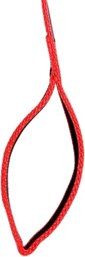 Image of THE BON BON Premium 5ft Dog Leash and Collar Set for Large Dogs | Heavy Duty Nylon with Reflective Stitching, Padded Handle, Adjustable Collar | Ideal for Walking and Training (Black, Medium)