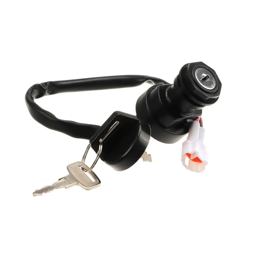 Bobinas de encendido compatibles con Warrior, Banshee e interruptor de llave 2