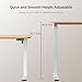 Furmax Electric Height Adjustable Standing Desk Large 55 x 24 Inches Sit Stand up Desk Home Office Computer Desk Memory Preset with T-Shaped Metal Bracket, Wood