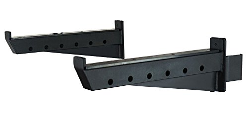 Valor Safety Spotter Arms 3x3
