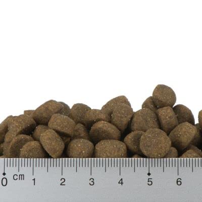 Feringa Adult Duck 2 kg natürliches, getreidefreies Premium-Trockenfutter für Katzen mit hohem Fleischanteil mit Vitaminen, Taurin & Lachsöl