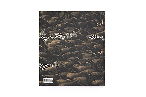 9781913947484 Into The Wild: The Story Of The World'S Greatest Wildlife Photography thumb #3