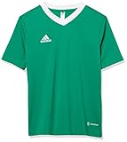 adidas Kids' Entrada 22 Jersey, Team Green/White, X-Large