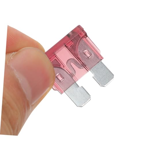 MAGICLULU kit completo de 180 fusibles para automóvil estándar y micro fusibles organizados en caja miniatura 4