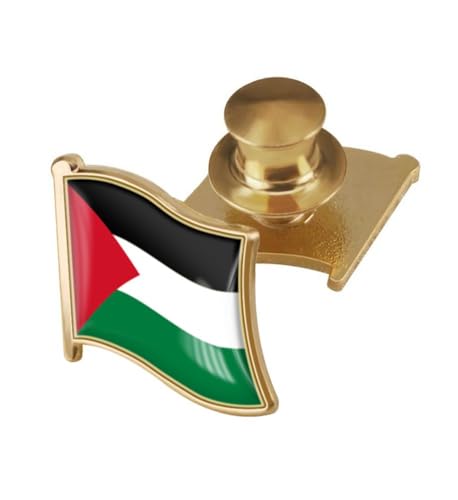 Image of vmcoatdu Country Flag Backs Locking Pin Keepers Locking Clasp Pin Badge International Travel Brooch Metal Alloy Souvenir Pin 0.75x0.7 Inch Small Pin