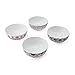 Mikasa Painted Medallion Set of 4 Bone China All Purpose Soup Cereal Bowl, 18 Ounces