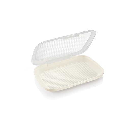 4FOOD Tescoma 896978 - Recipiente para lonchas con tapa transparente, 24 x 16,3 cm, línea