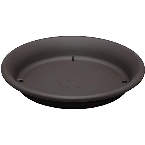 ACXI[}(IRIS OHYAMA) v^[AAؔ 8