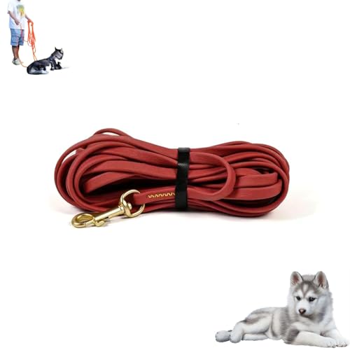 p[h v y  [h  3m  킢 h ʋC ׏d200kg ₷ Eh~ 1cm O R 􂦂 g₷  UЂ Pp s⏕ Sy Ռz ݐ؂h~ (bh,9m)