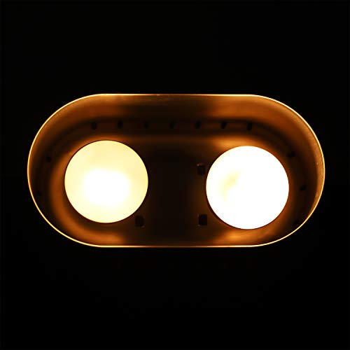 Reptile Heat Lamp