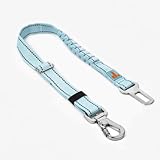 Dog Friendly Co. Dog Seat Belt | Safe and Comfortable Dog Transportation | Adjustable Length, Anti-Shock Bungee, Universal Heavy Duty Clips | Sky Blue