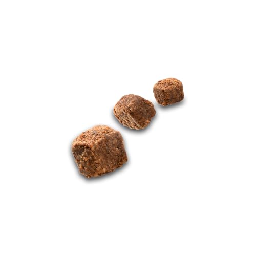 animonda Meat Chunks Medium Lamm Pur (80 g), getreidefreie Hundeleckerlis für ausgewachsene Hunde, leckere Hunde Leckerlis mit viel Fleisch, Hundeleckerlies zum Belohnen und Verwöhnen