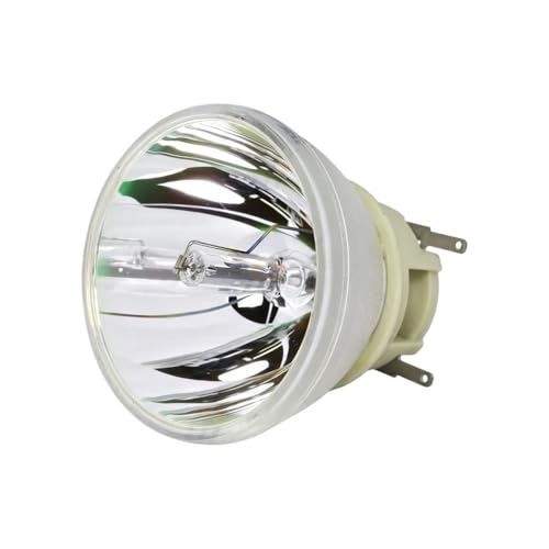 Accessoires de lampe projection 5J.JHN05.001 pièces BenQ W1720 TK800M