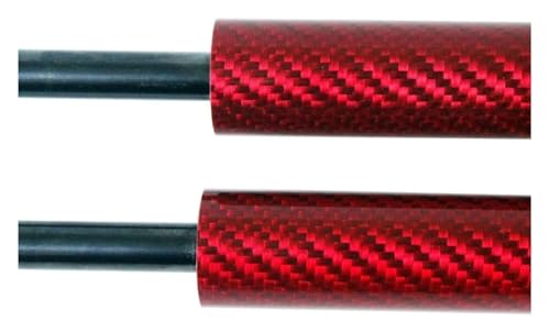 Anb`_p[ p RAV4 p @K[h XA30 2005-2012 2x tgt[h{lbgKXXgbgtgT|[gVbN_p[t^[(Carbon Fiber 7)