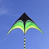 La actividad al aire libre perfecta: volar cometas es una actividad significativa para los niños. El vuelo de cometas puede cultivar el pensamiento creativo y la concentración de los niños, y crear recuerdos felices con los niños.