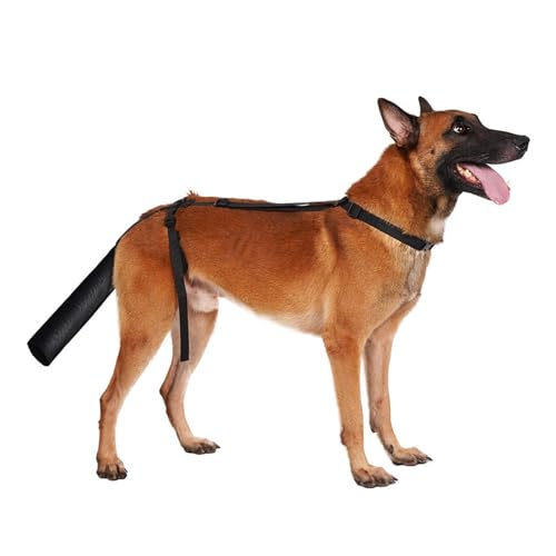 Couverture de queue pour animal de compagnie empêche blessures lécher races de chiens
