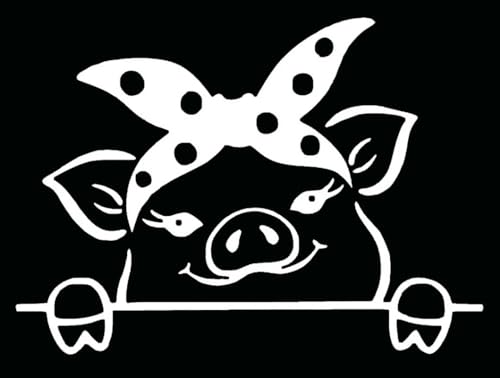 Autocollant vinyle cochon anti-bulle pour masquer les rayures