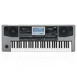 KORG Pa900 Professional Arranger Keyboard : Amazon.ae: Musical