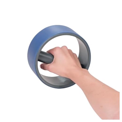 Rolyan Pronation & Supination Wheel, 2 Pound Weighted Wheel Training Device for Motor Control and Mobility, Hand & Arm Trainer for Forearm and Shoulder Surgery Recovery & Rehabilitation