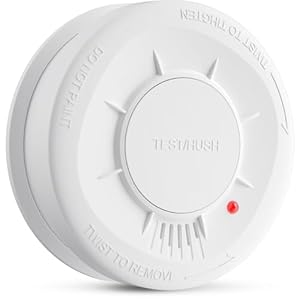 LIORQUE Detector de Humo, Alarma de...