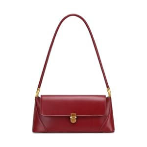 Shoulder Bags for Women Vintage Handbag Retro Classic Small Purse Cute Hobo Tote Handbag Mini Clutch Purse